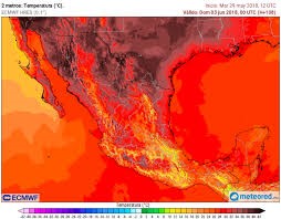 Surviving Record High Temperatures Fry Mexico – Sol Mexico News